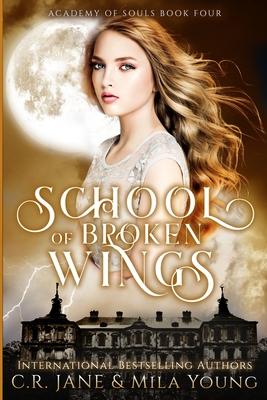 School of Broken Wings book cover