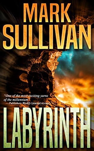 Labyrinth book cover