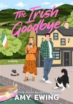 The Irish Goodbye book cover