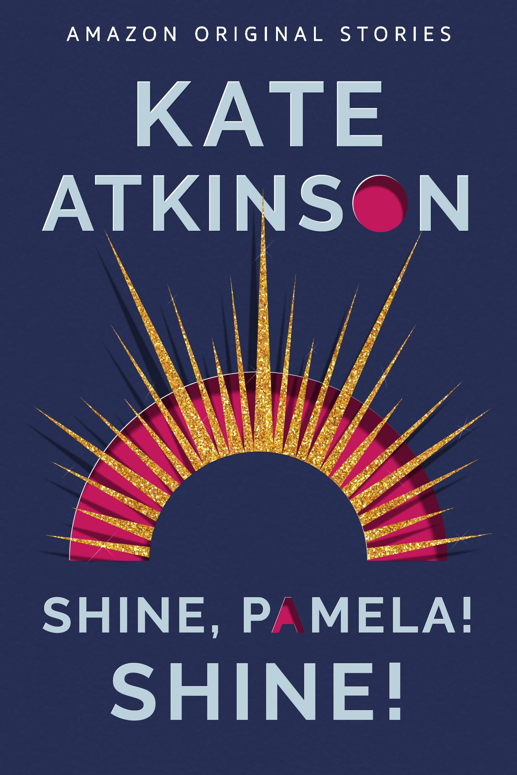 Shine, Pamela! Shine! book cover