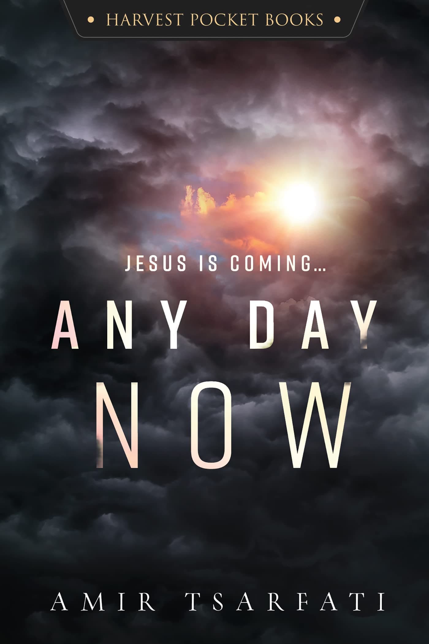 Any Day Now book cover