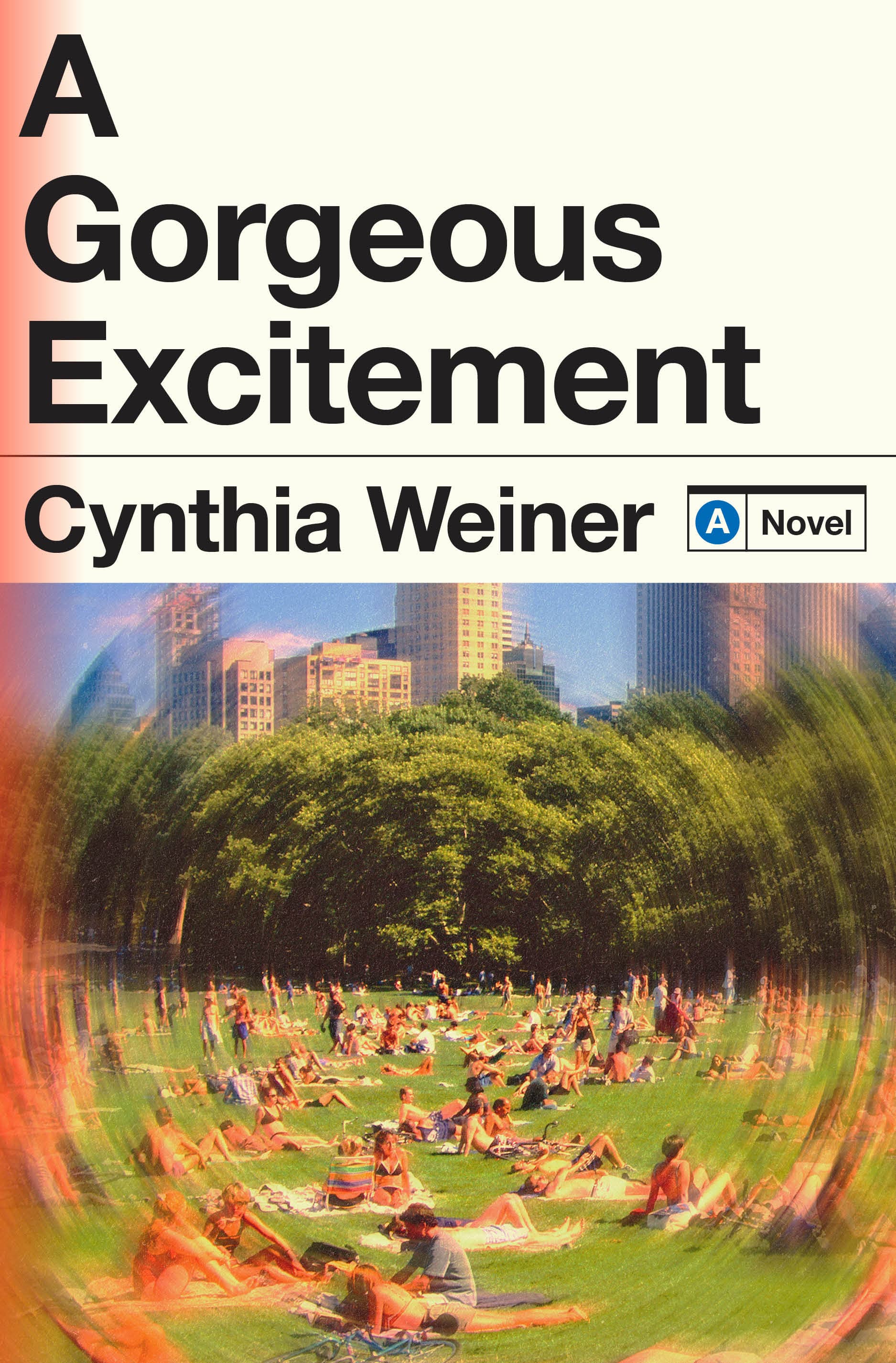 A Gorgeous Excitement book cover