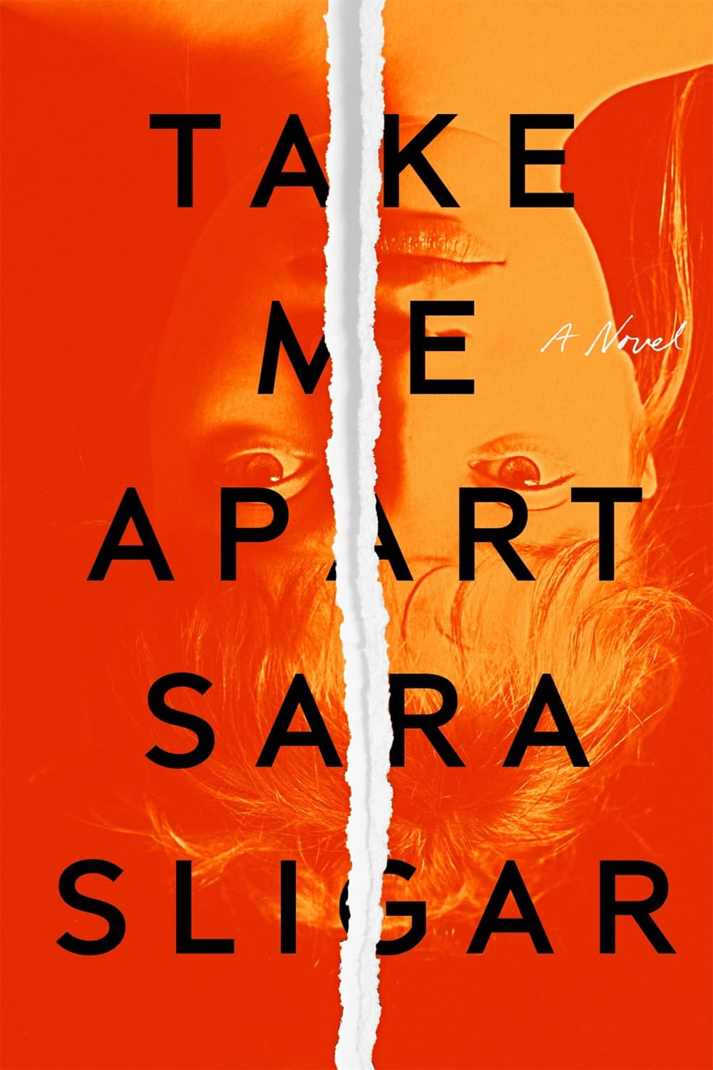 Take Me Apart book cover