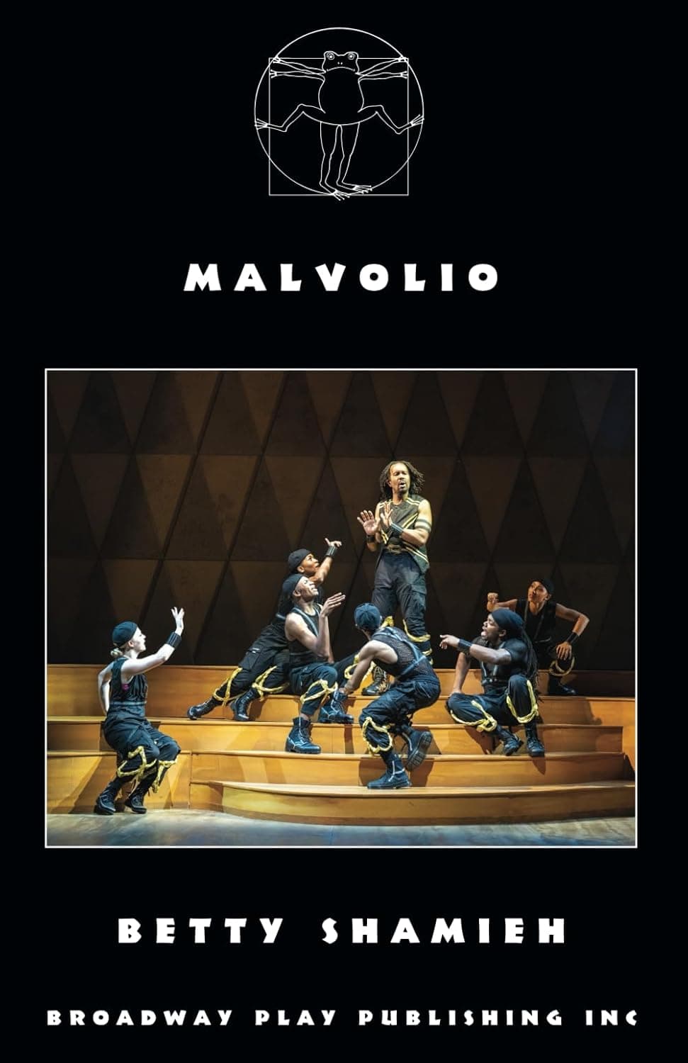 Malvolio book cover