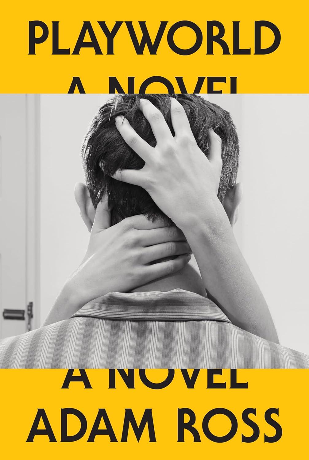 Playworld book cover
