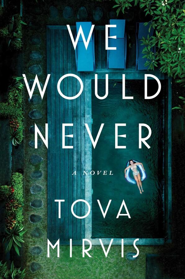 We Would Never book cover