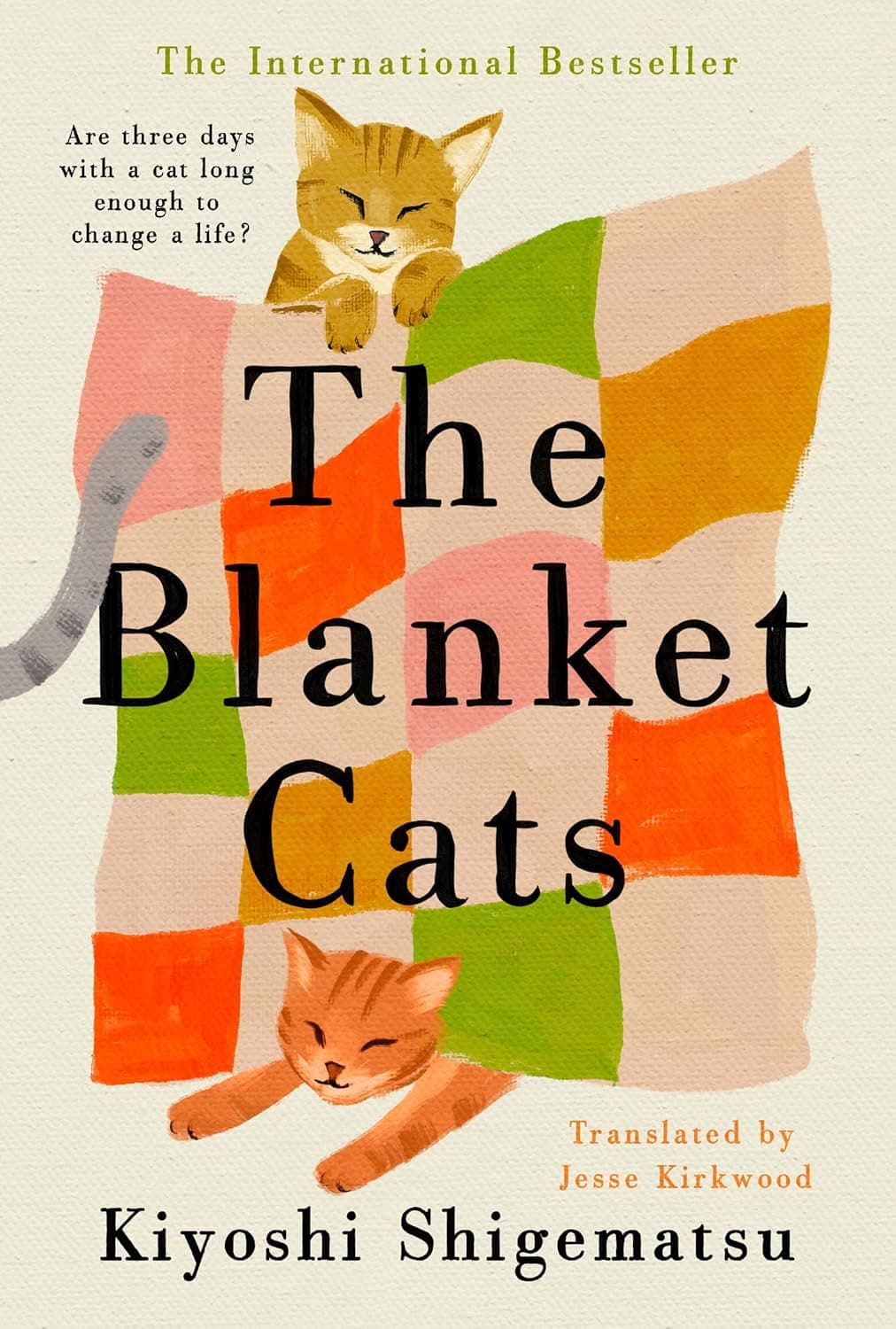The Blanket Cats book cover