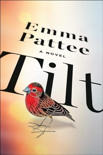 Tilt book cover