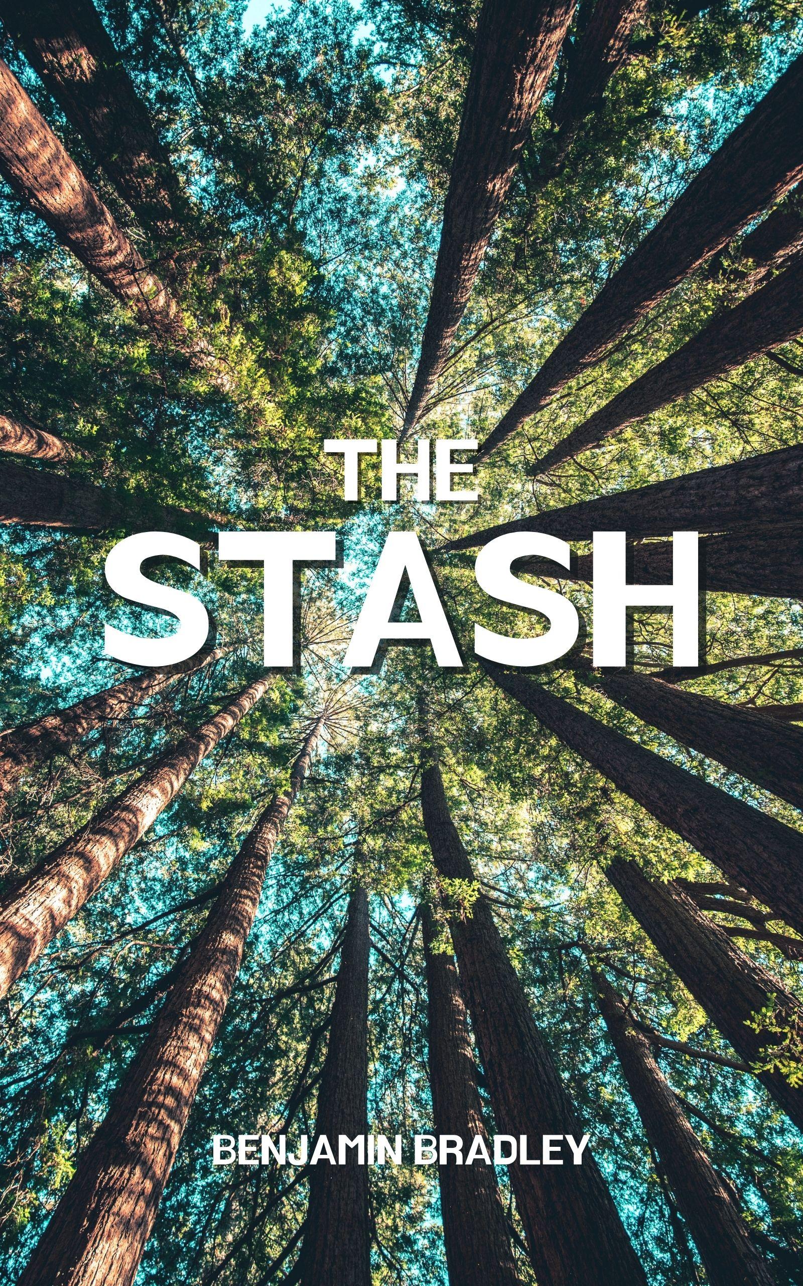 The Stash book cover