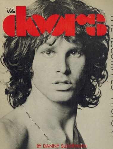 The Doors: The Illustrated History book cover