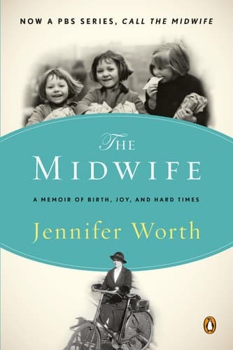 The Midwife: A Memoir of Birth, Joy, and Hard Times book cover