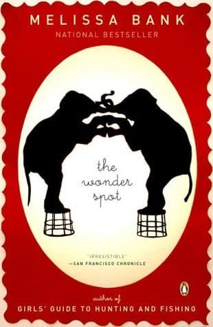 The Wonder Spot book cover
