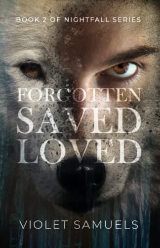Forgotten, Saved, Loved book cover