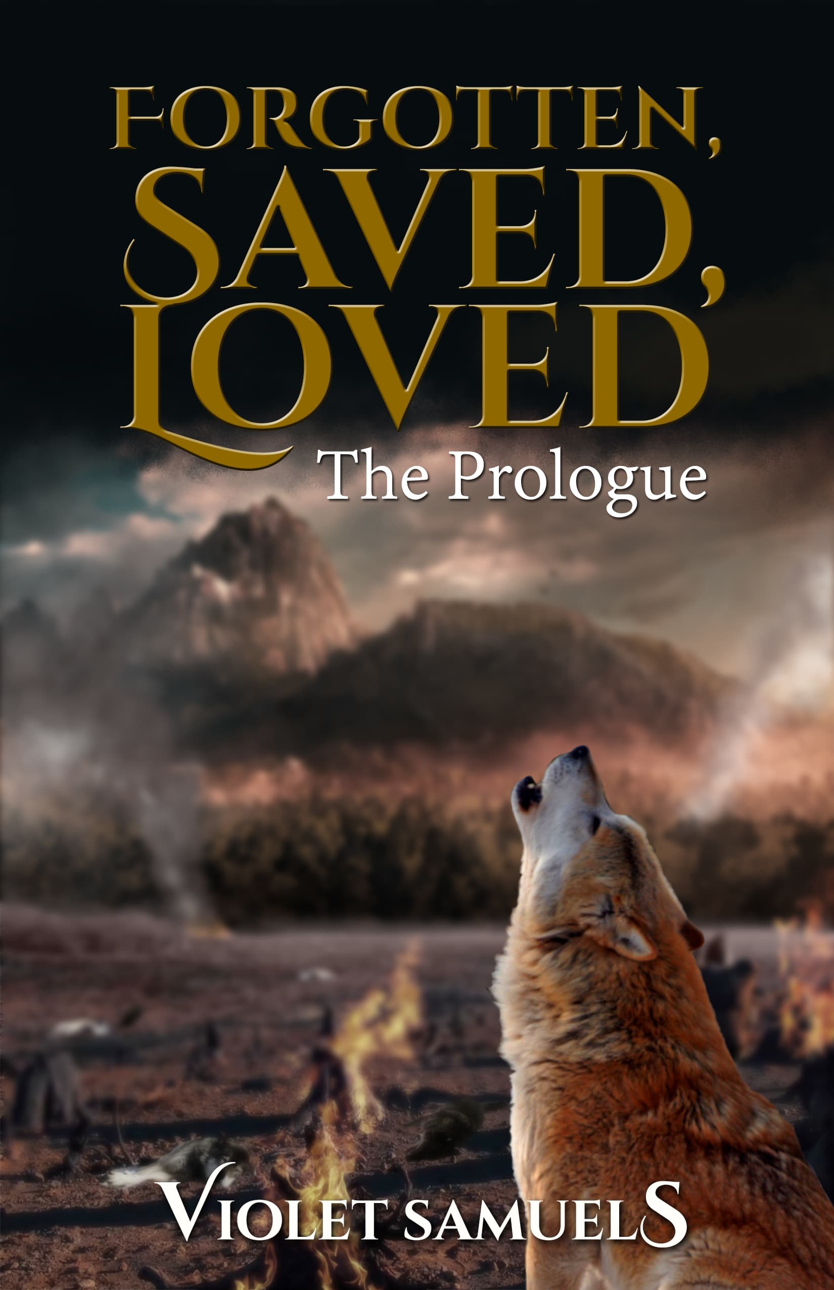 Forgotten, Saved, Loved: The Prologue book cover