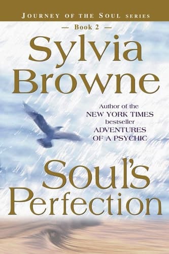 Soul's Perfection (Journey of the Soul's Service, Book 2) book cover