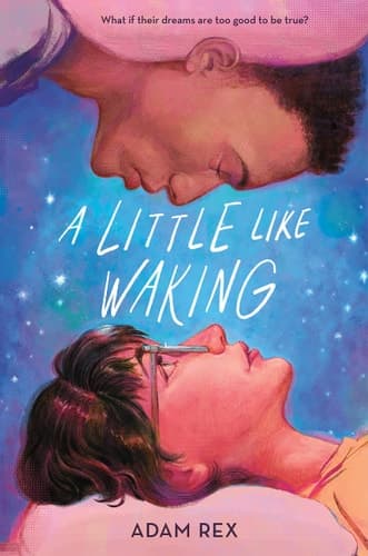 A Little Like Waking book cover