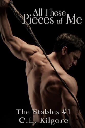 All These Pieces of Me The Stables book cover