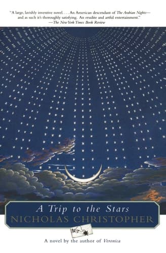 A Trip To The Stars book cover