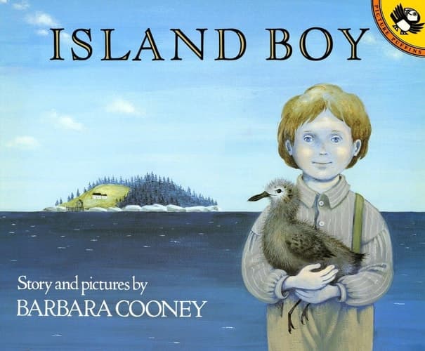 Island Boy  book cover