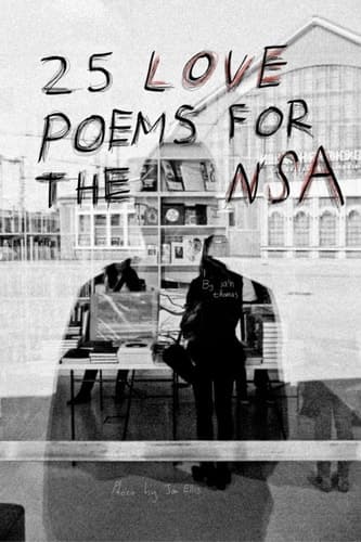 25 Love Poems for the NSA book cover