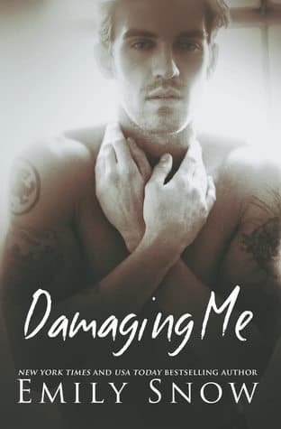 Damaging Me book cover