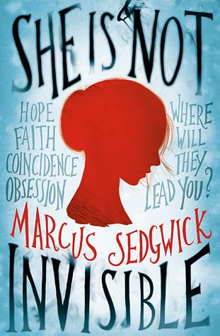She Is Not Invisible book cover