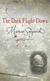 The Dark Flight Down book cover