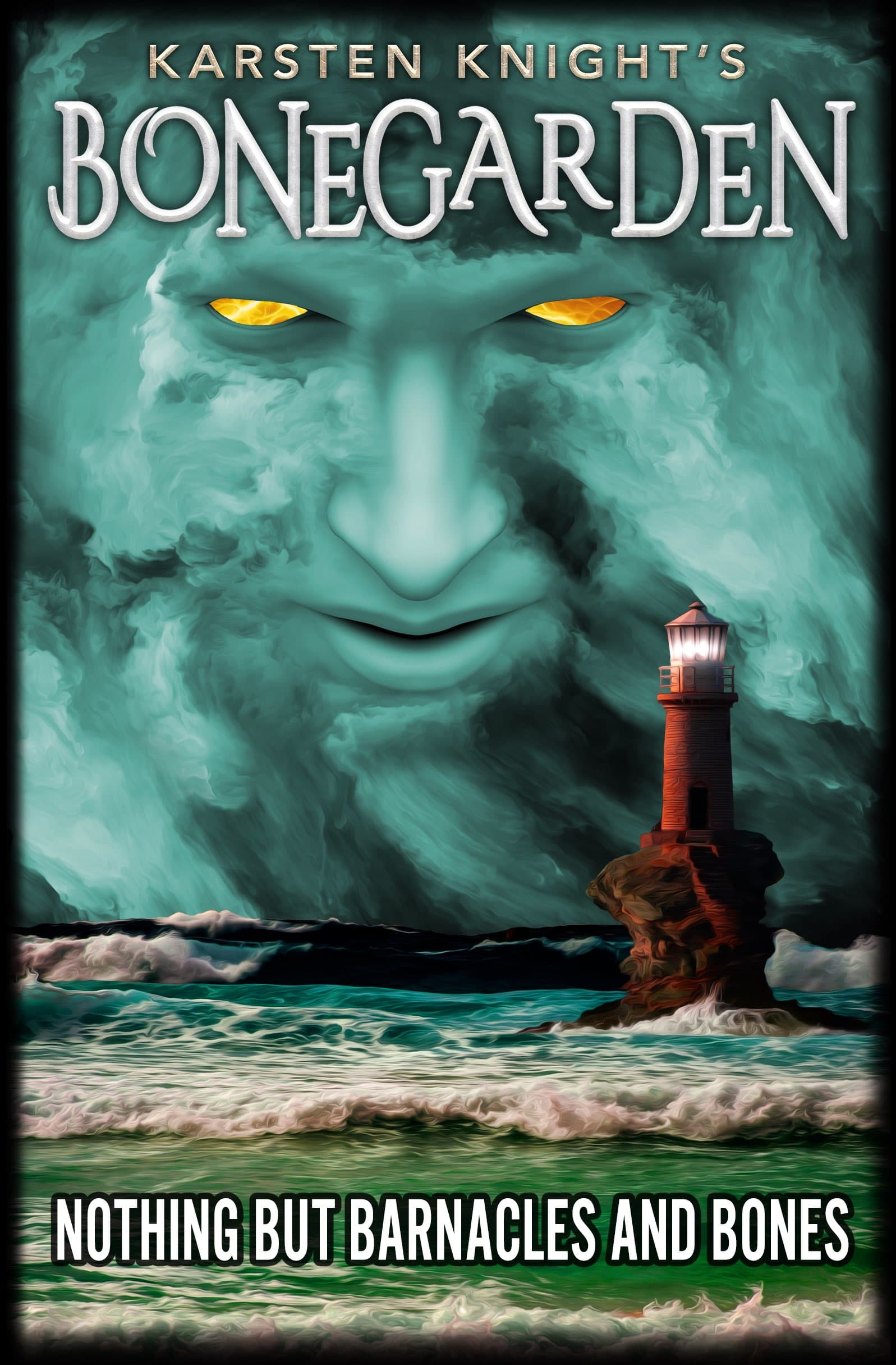 Nothing but Barnacles and Bones book cover