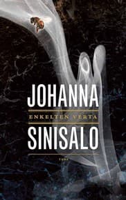 Enkelten verta book cover