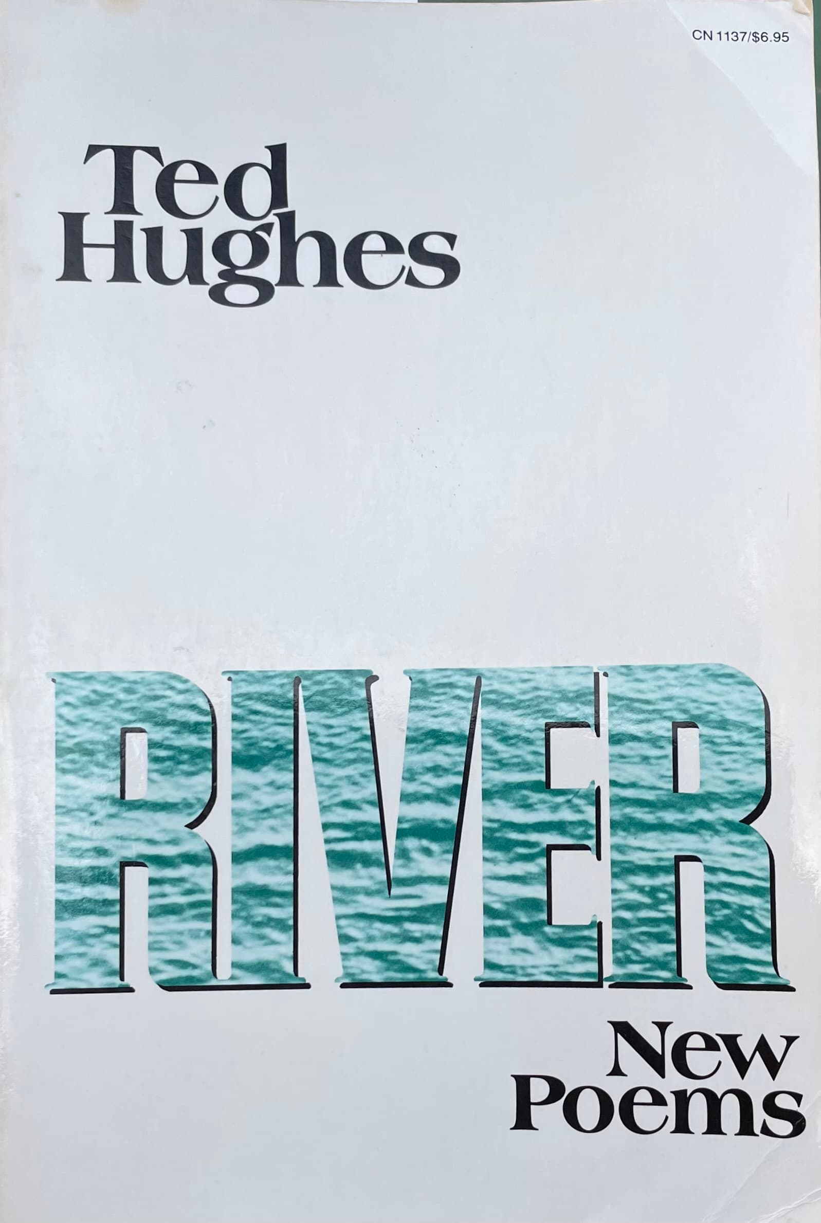River book cover