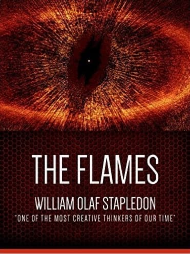 The Flames: A Fantasy book cover