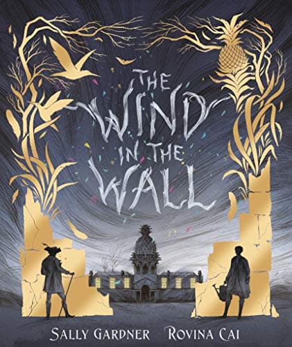The Wind in the Wall book cover
