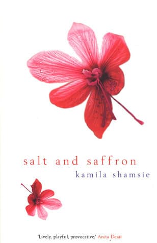 Salt and Saffron book cover