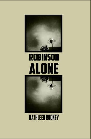 Robinson Alone book cover