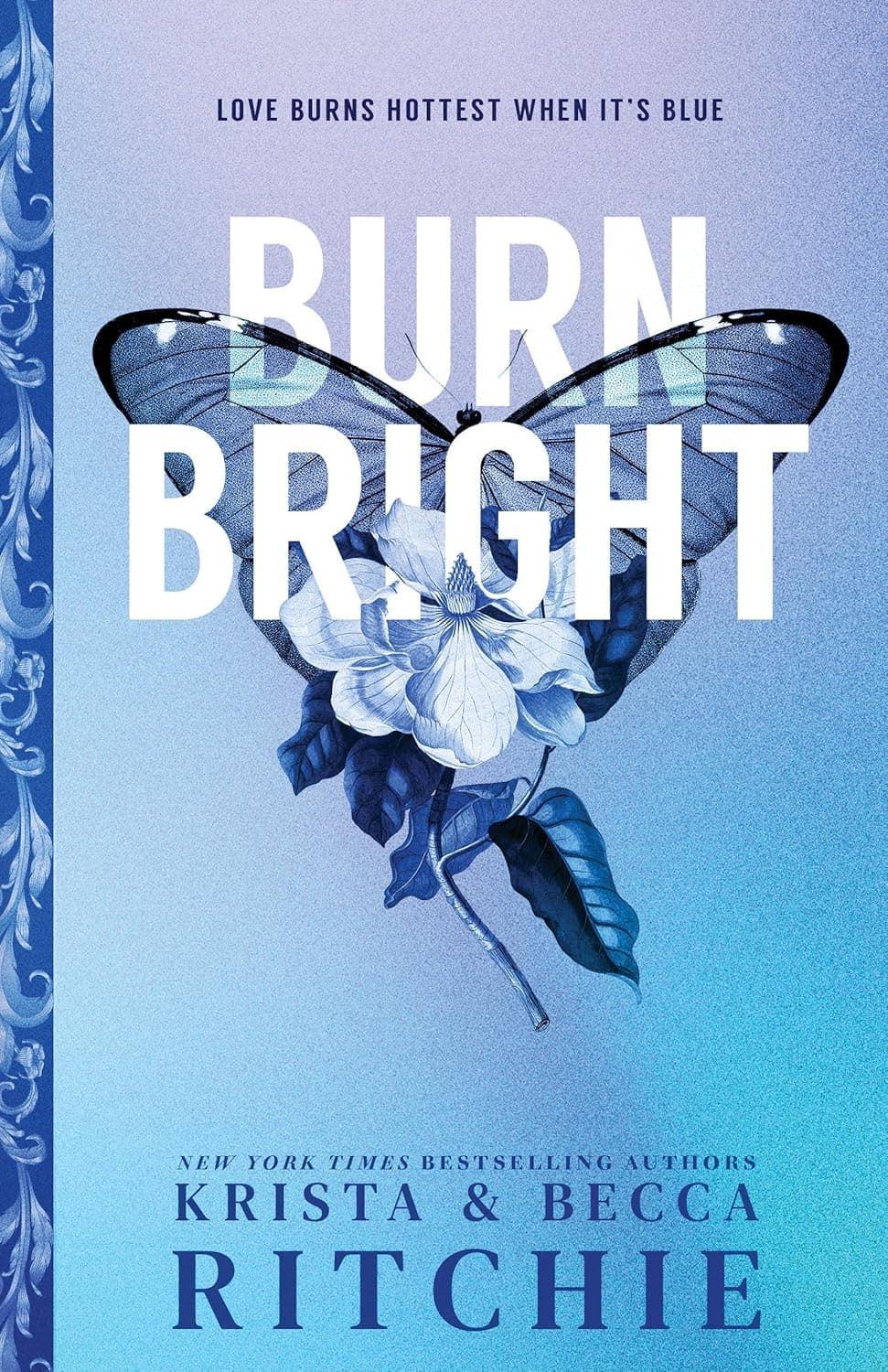 Burn Bright book cover