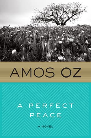 A Perfect Peace book cover