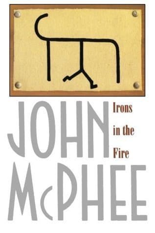 Irons in the Fire book cover