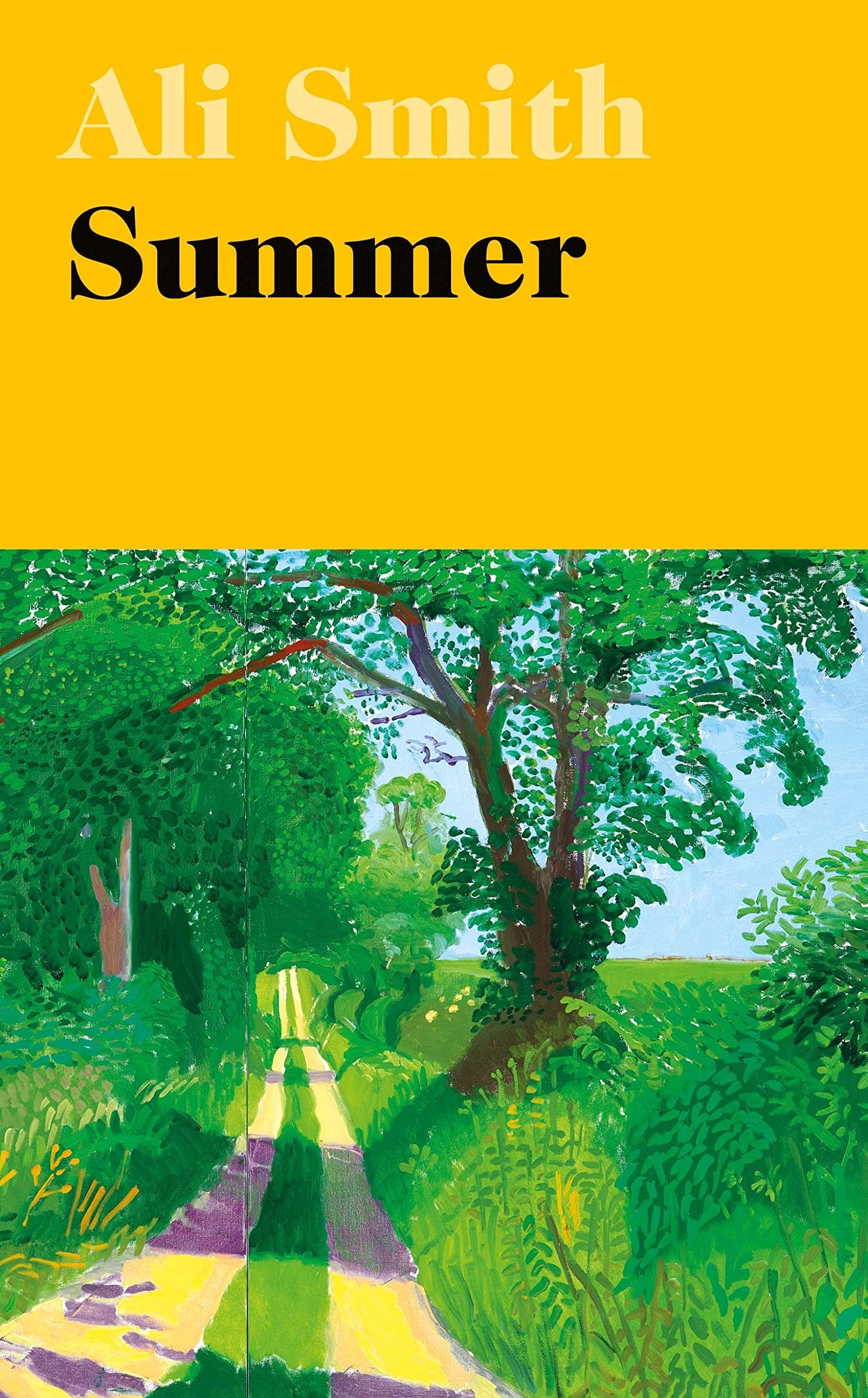 Summer book cover