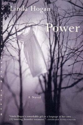 Power book cover