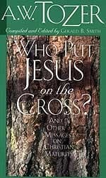 Who Put Jesus on the Cross?: And Other Messages on Christian Maturity book cover