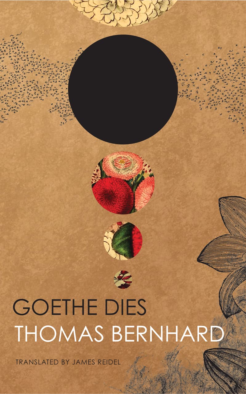 Goethe Dies book cover