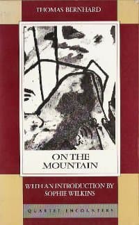 On the Mountain book cover