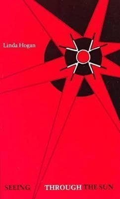 Seeing through the Sun book cover