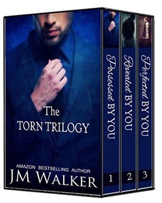 The Torn Trilogy Box Set book cover