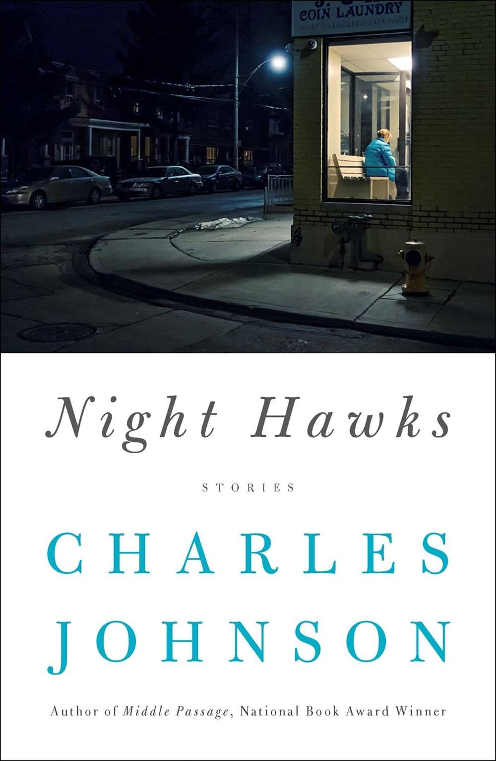 Night Hawks: Stories book cover