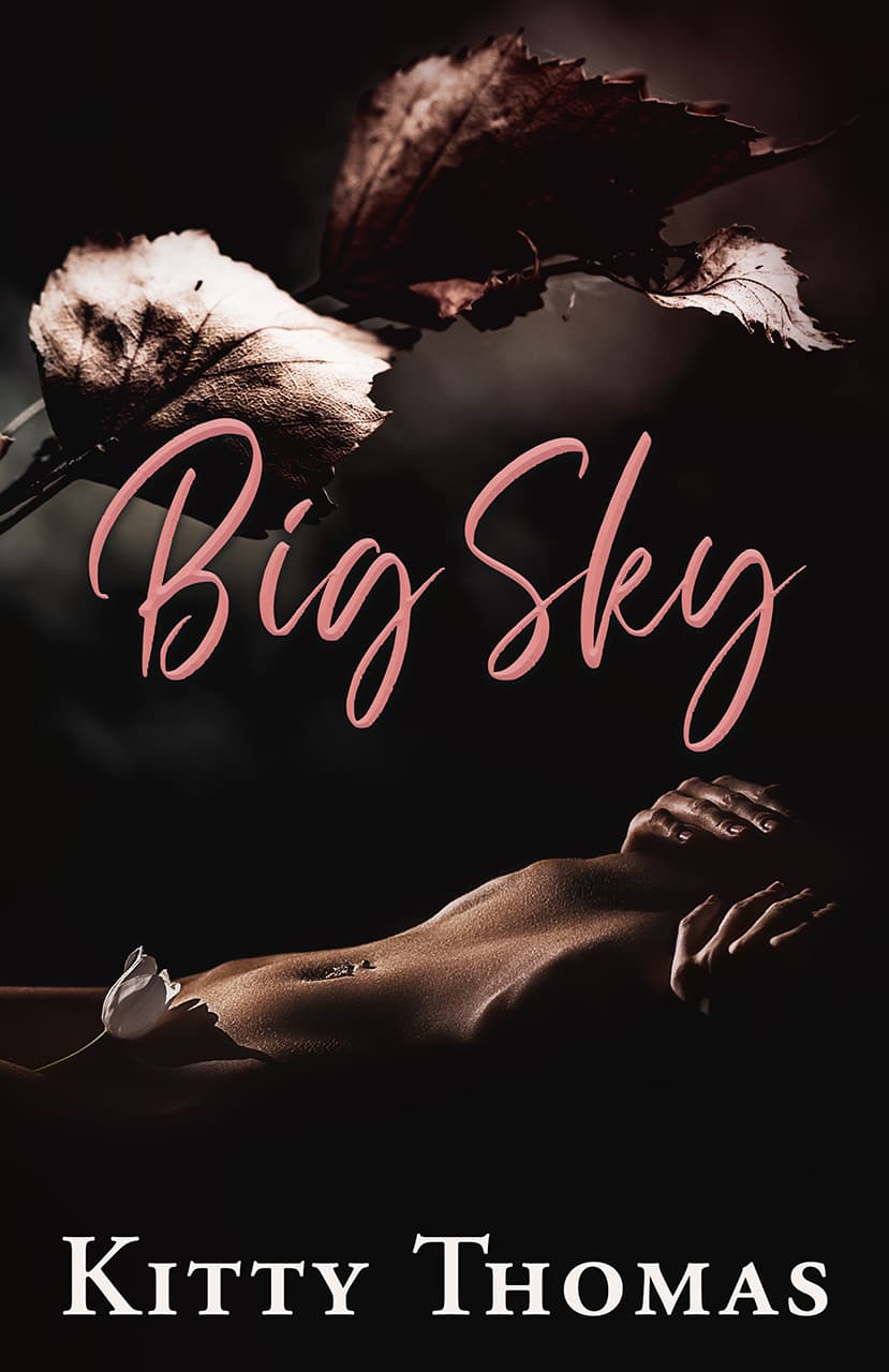 Big Sky book cover