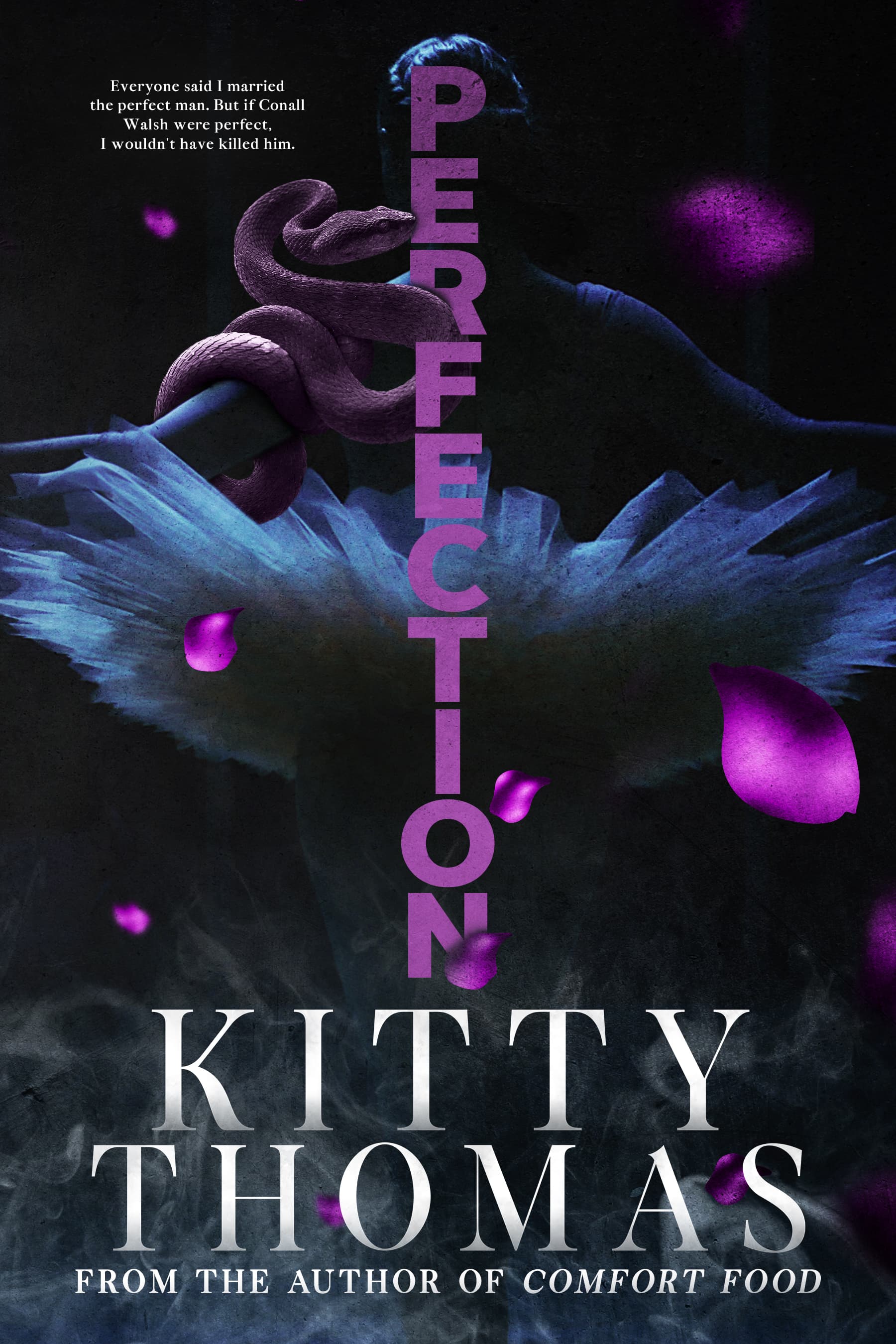 Perfection book cover