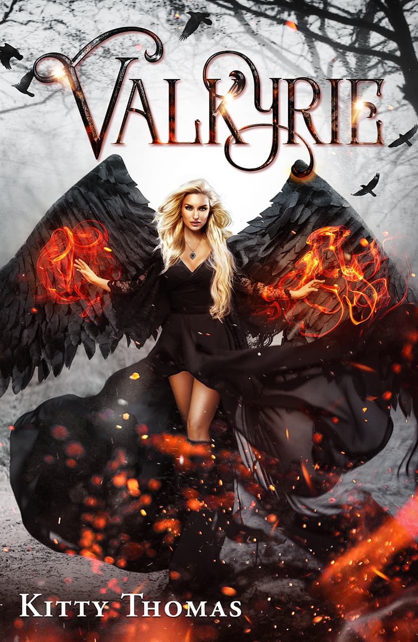 Valkyrie book cover
