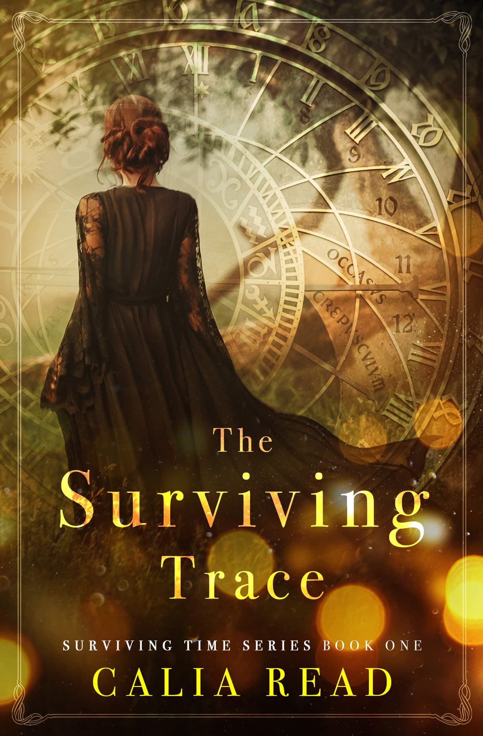 The Surviving Trace book cover