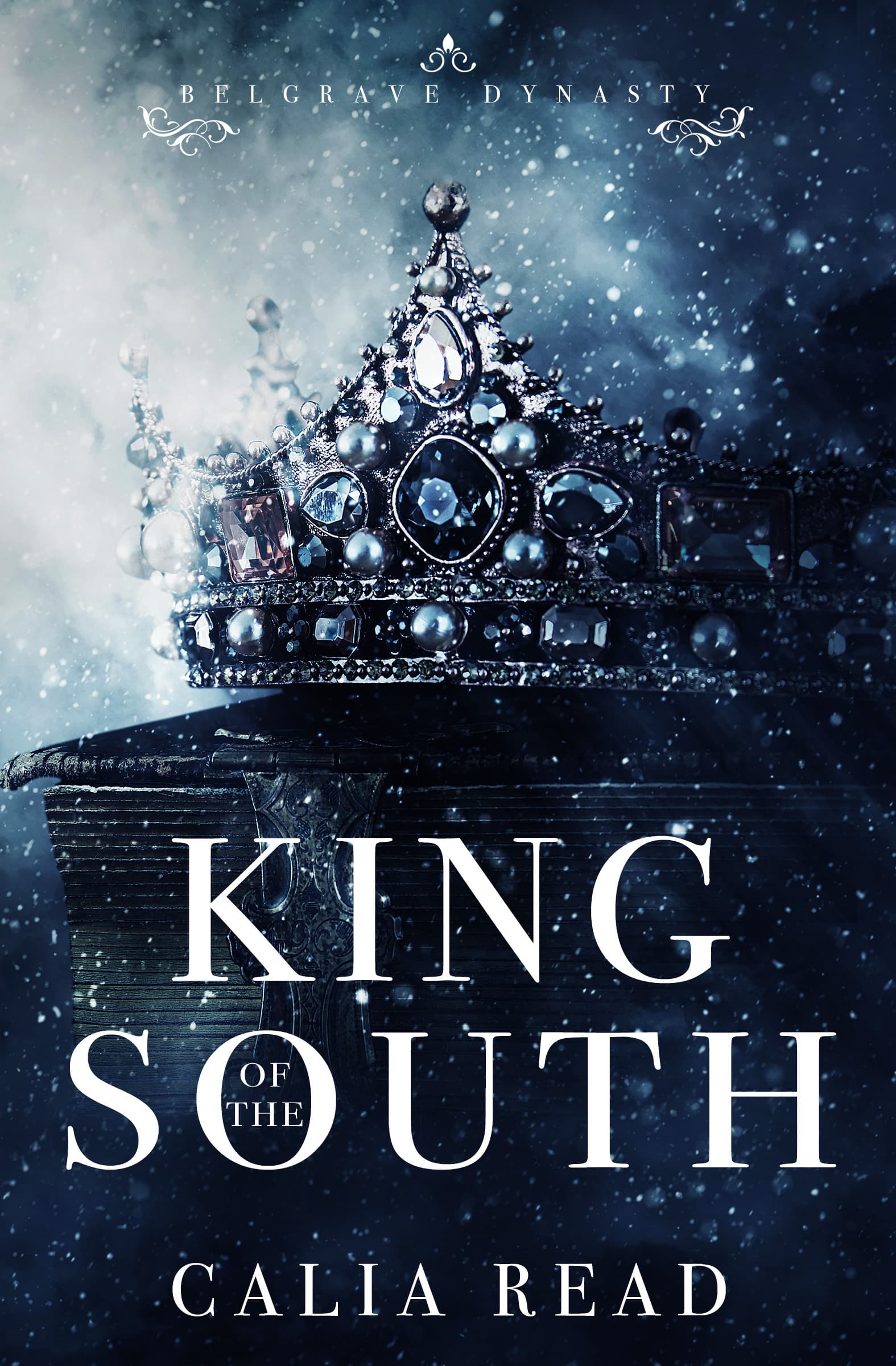 King  of the South book cover